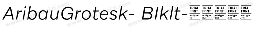AribauGrotesk- BIklt字体转换